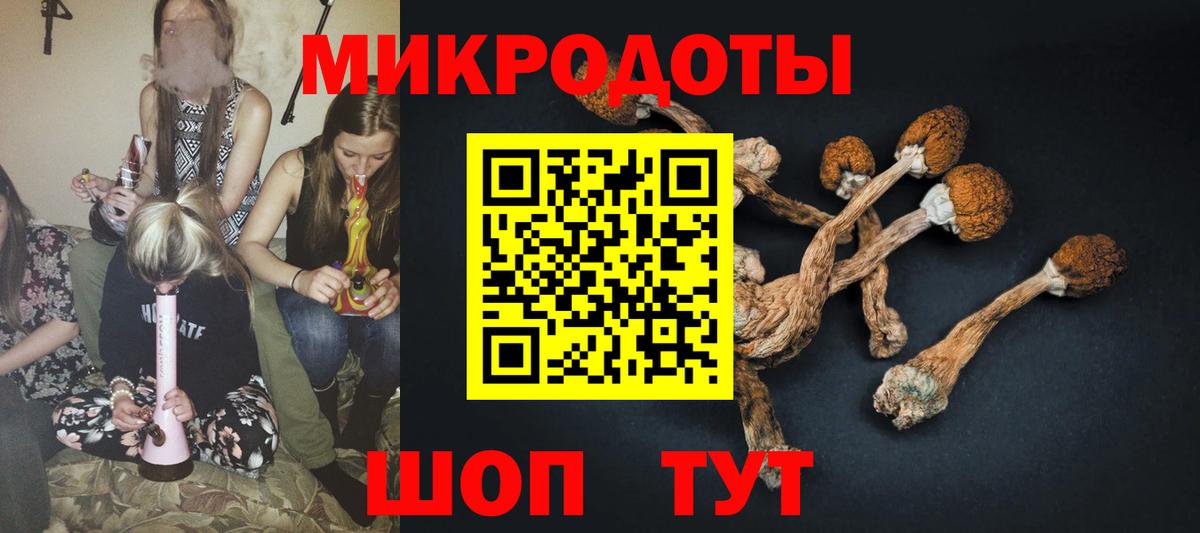 Тулун  Галлюциногенные грибы ЛСД  Вход с VPN 
